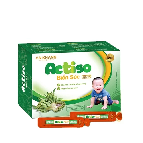 ACTISO BIỂN SÚC GOLD 1 Actiso Biển Súc Gold